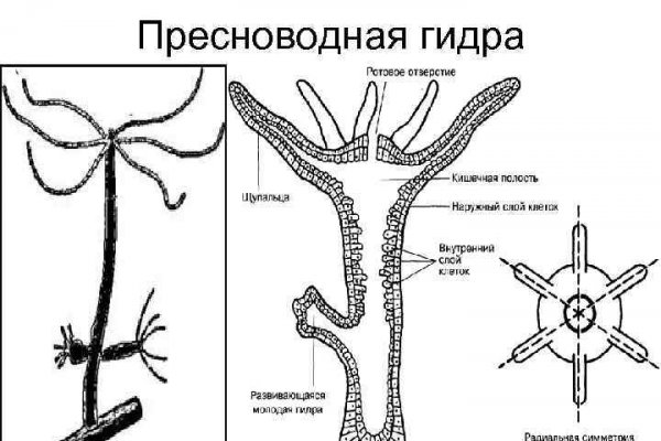 Ссылка кракен зеркало тор